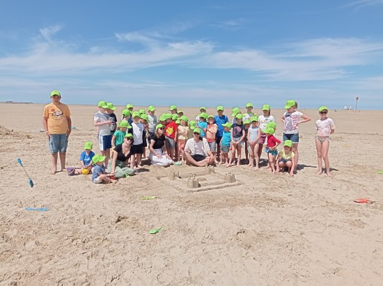 Activités proposées